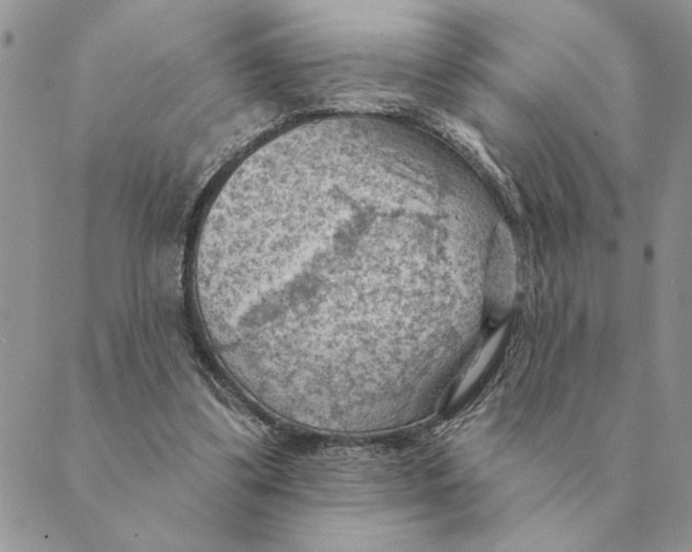 X0000088830299200707051429