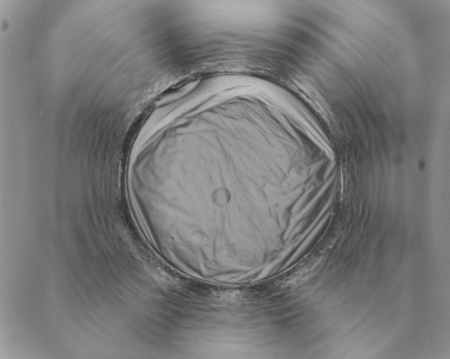 X0000088830301200707051429