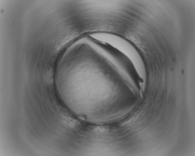 X0000088830303200707051429