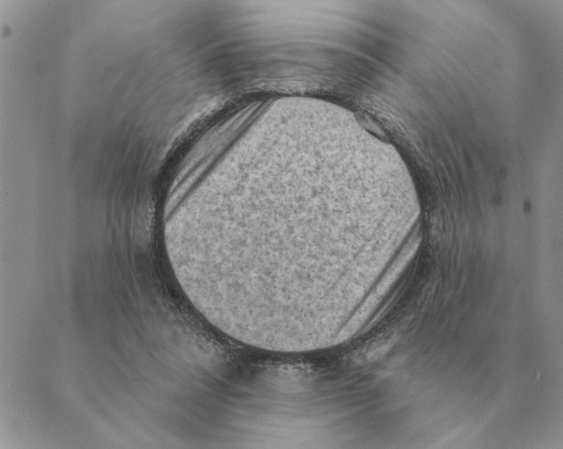 X0000088830304200707051429