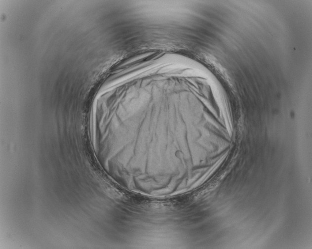 X0000088830305200707051429