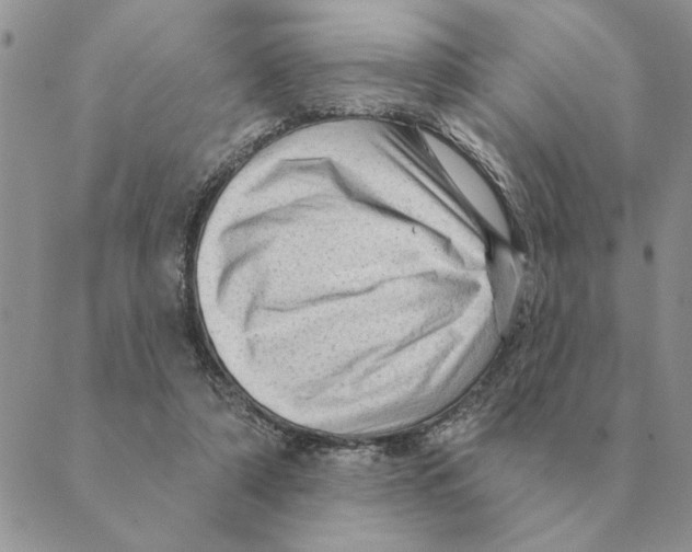 X0000088830306200707051429