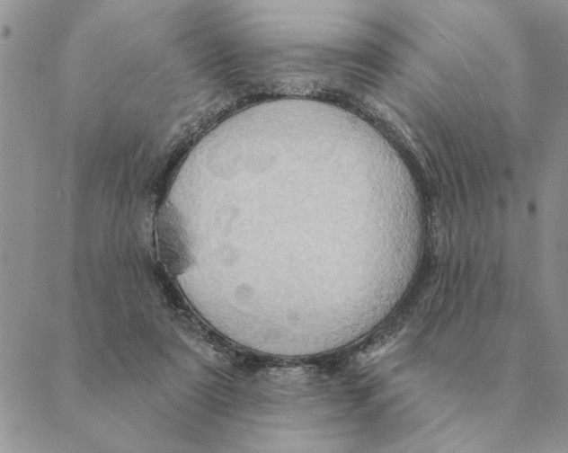 X0000088830307200707051429