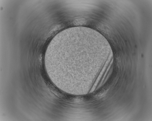 X0000088830308200707051429