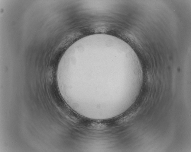 X0000088830311200707051429