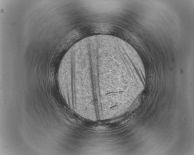 X0000088830312200707051429