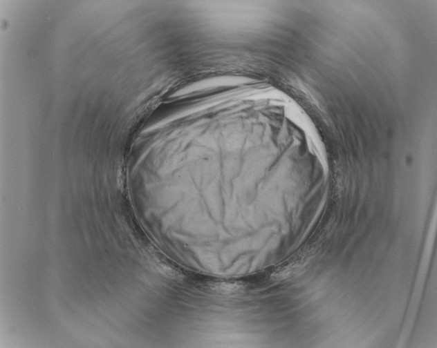 X0000088830313200707051429