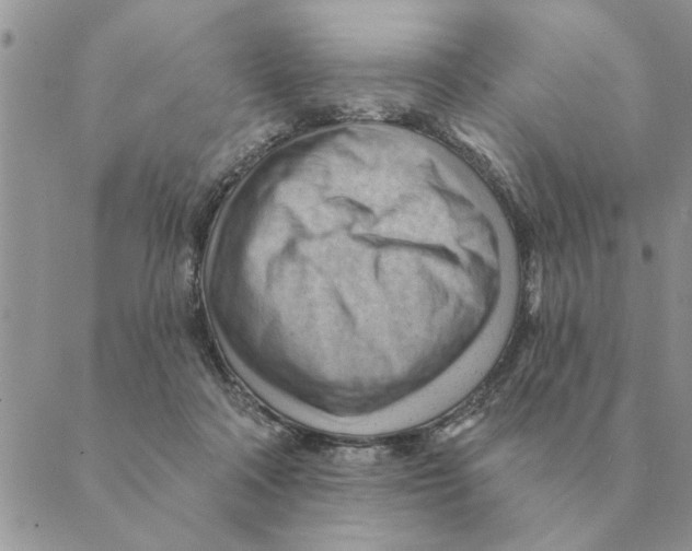 X0000088830314200707051428