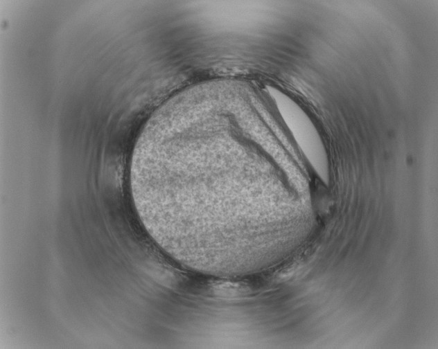 X0000088830315200707051428