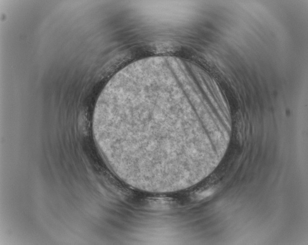 X0000088830316200707051428