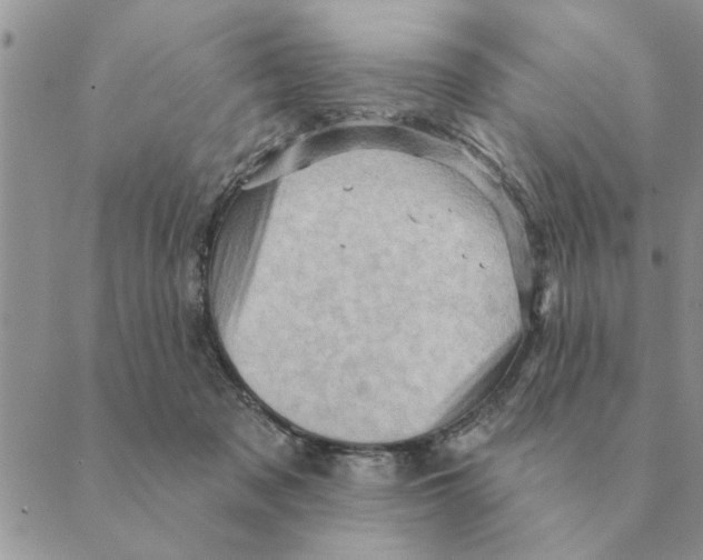 X0000088830317200707051428