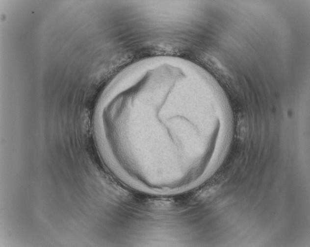 X0000088830318200707051428