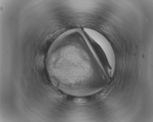 X0000088830319200707051428