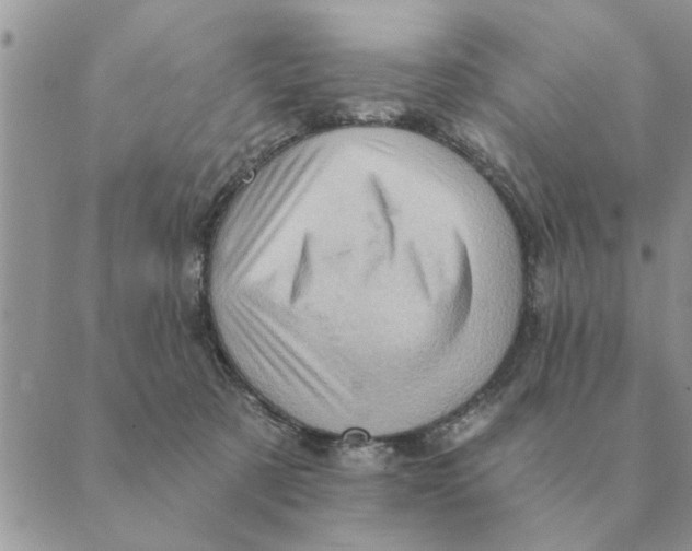 X0000088830321200707051428