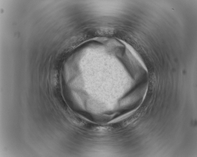 X0000088830323200707051428