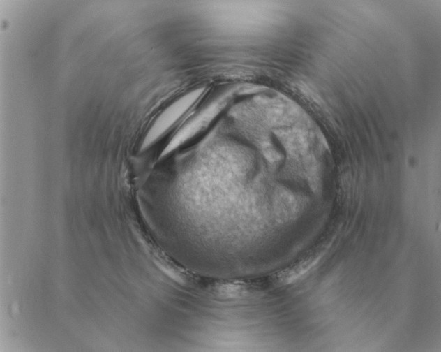 X0000088830325200707051428