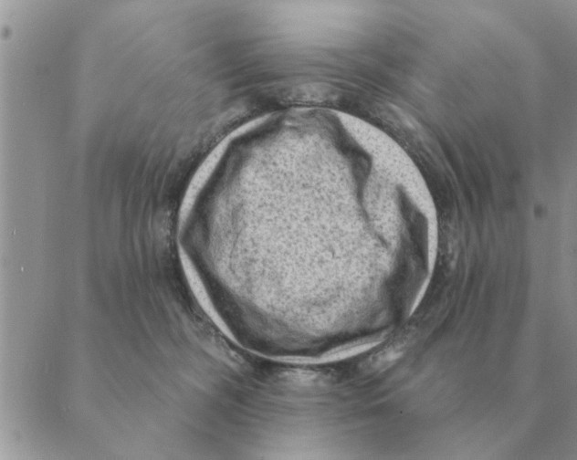 X0000088830326200707051428