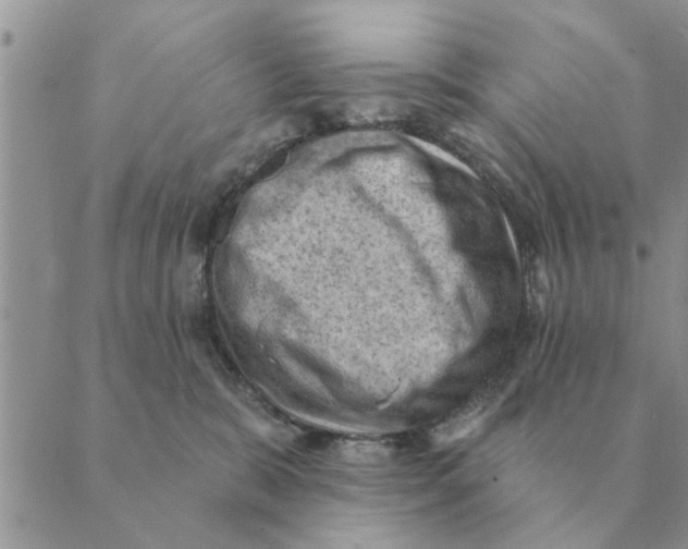 X0000088830327200707051428