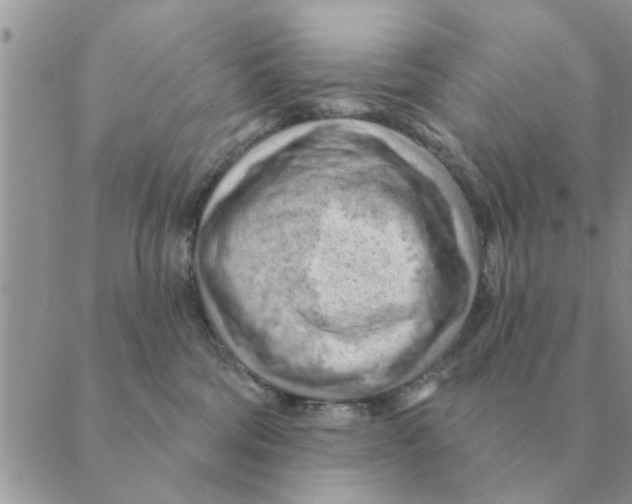 X0000088830330200707051428