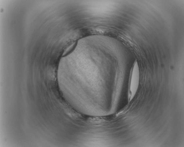 X0000088830331200707051428