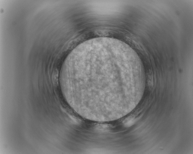 X0000088830332200707051428