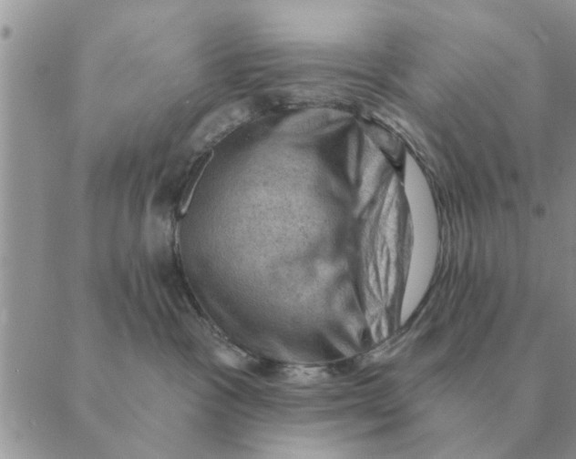 X0000088830333200707051428