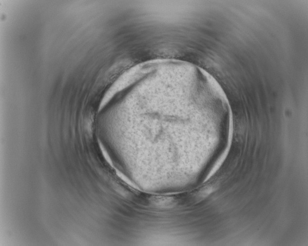 X0000088830334200707051428