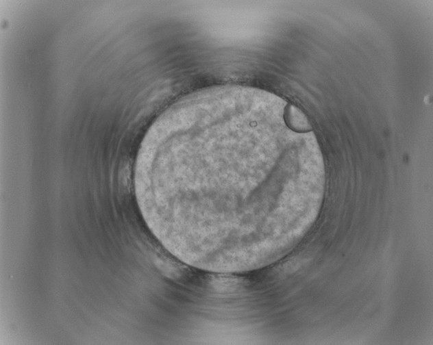 X0000088830336200707051428