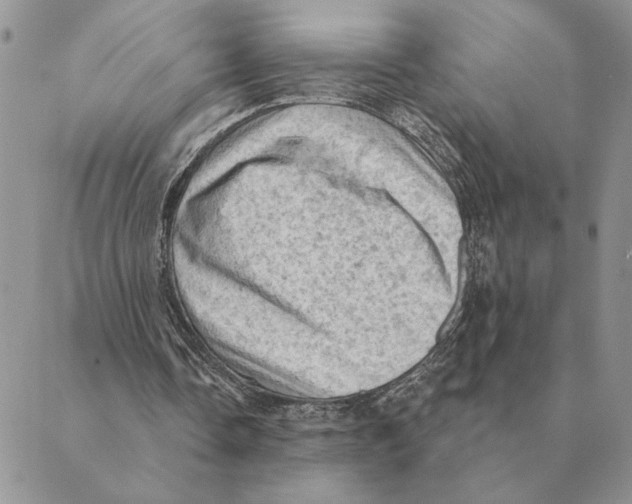 X0000088830338200707051427