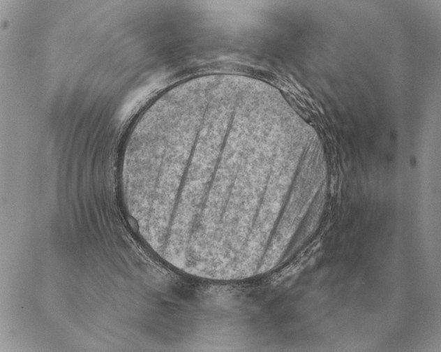 X0000088830341200707051427