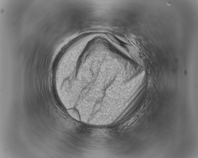 X0000088830342200707051427