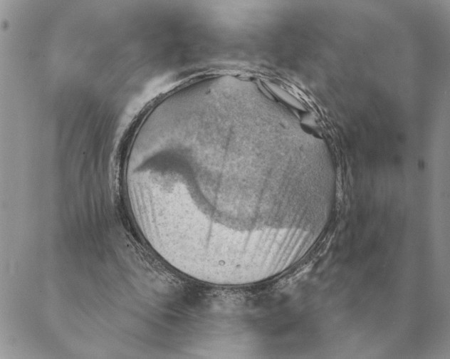 X0000088830343200707051427