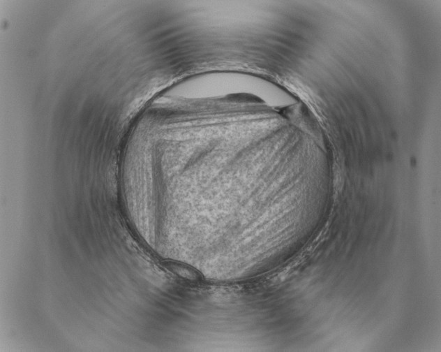 X0000088830345200707051427