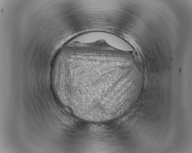 X0000088830346200707051427