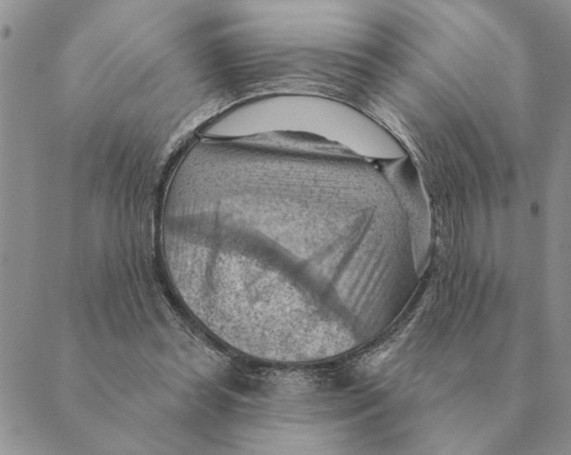 X0000088830349200707051428