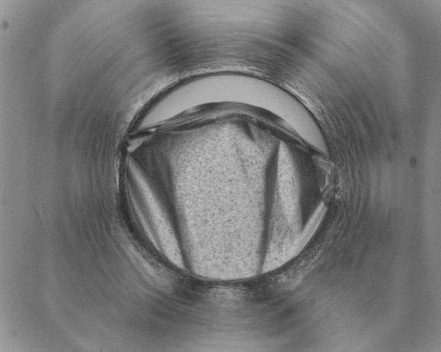 X0000088830350200707051428