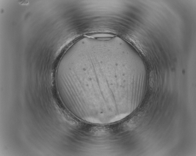 X0000088830351200707051428