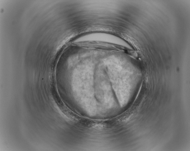 X0000088830352200707051428