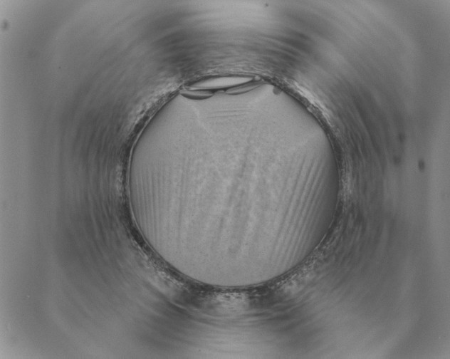 X0000088830353200707051428