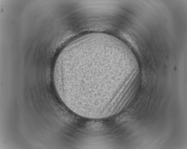 X0000088830354200707051428