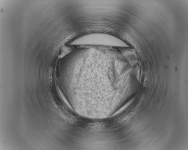 X0000088830356200707051428