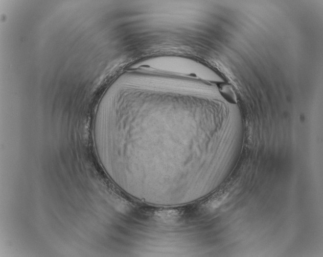 X0000088830357200707051428