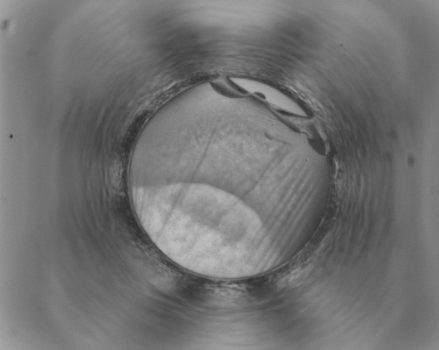 X0000088830359200707051428