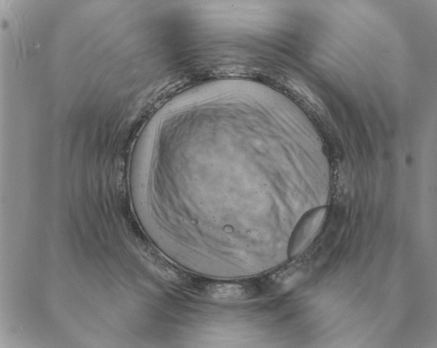 X0000088830361200707051428