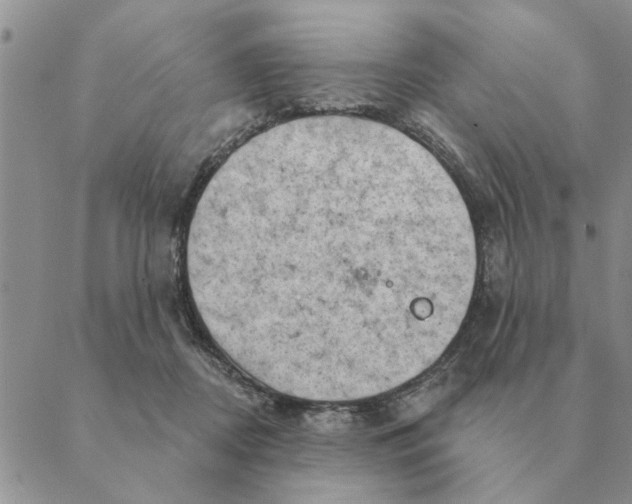 X0000088830362200707051428