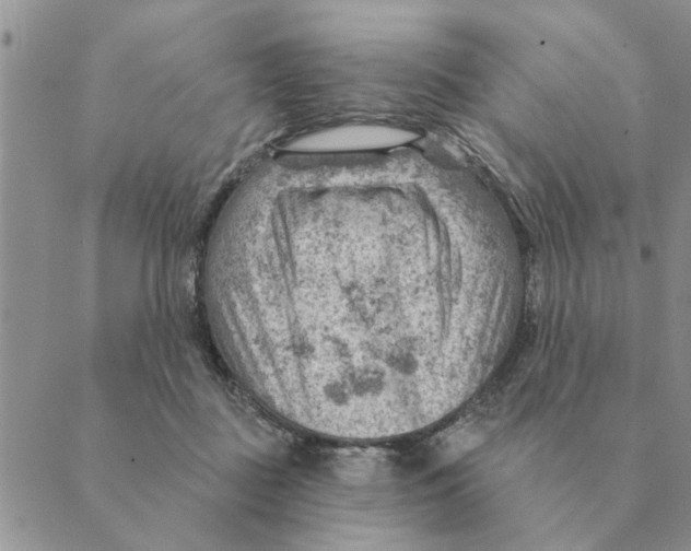 X0000088830363200707051428