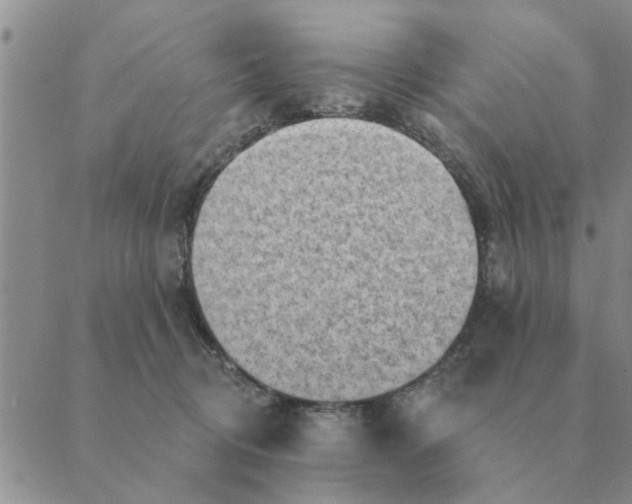 X0000088830370200707051428