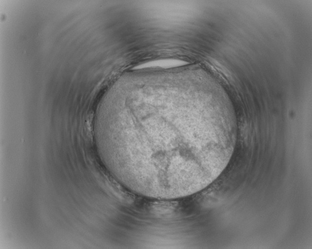 X0000088830373200707051428