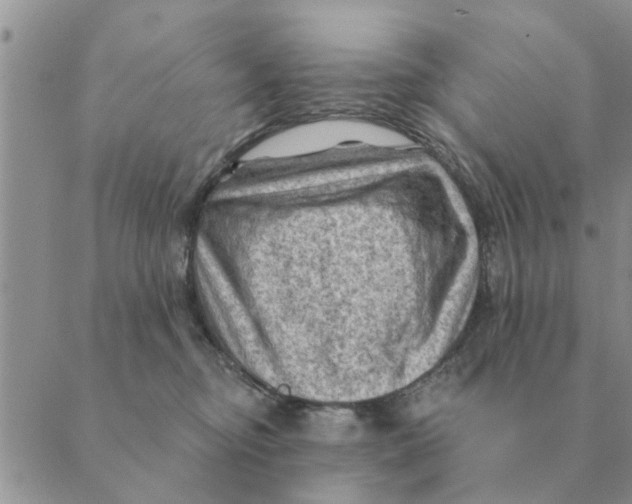 X0000088830374200707051428