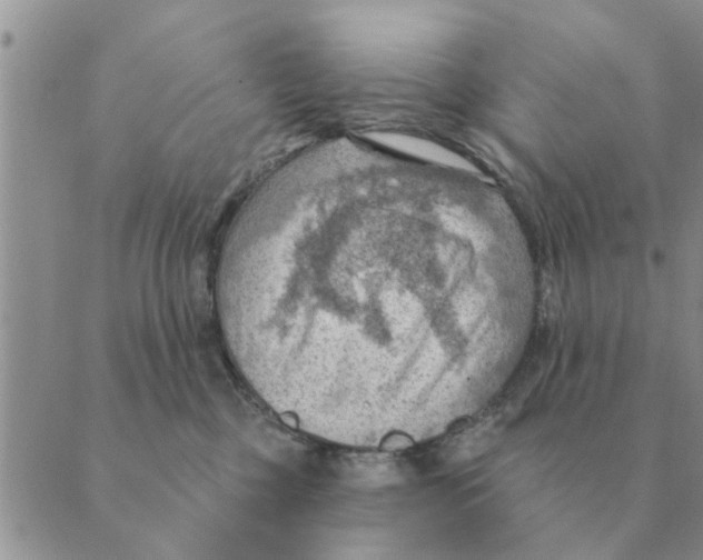 X0000088830377200707051428